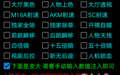 《绝地求生》辅助平台：提升游戏体验的必备工具-探索《绝地求生》辅助平台：增强竞技优势的长尾策略