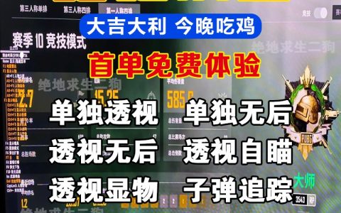 绝地求生端游找人辅助技巧解析-绝地求生端游寻找靠谱辅助玩家攻略