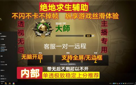 《绝地求生》辅助购买渠道揭秘与风险警示-深度解析《绝地求生》游戏辅助工具购买途径及安全性考量