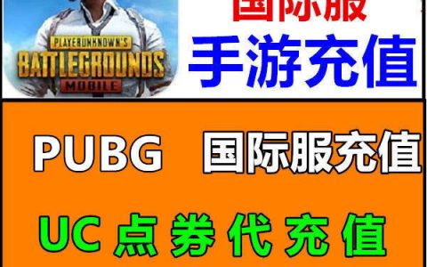 PUBG充值代充 直充服务-PUBG游戏内货币快速直充服务