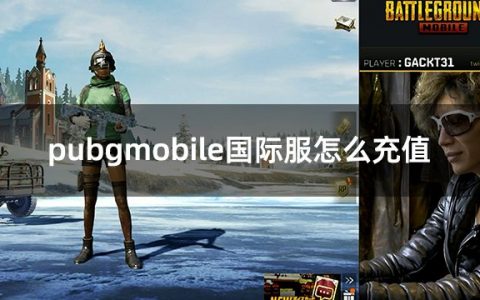 PUBG游戏充值，快速提升游戏体验-如何高效进行PUBG游戏充值